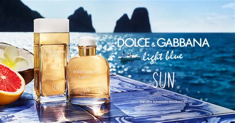 dolce gabbana sun fragrantica|dolce and gabbana shades.